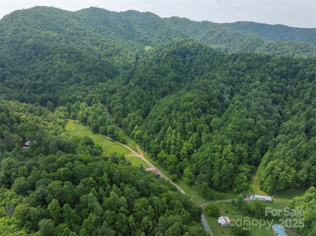 320 Board Tree Rd, Marshall, NC 28753 - aerial overview of property's location with a heavily wooded area and a mountainous background