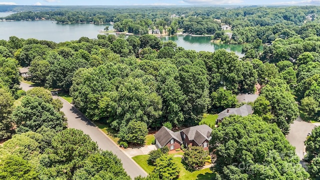 150 Pinnacle Shores Dr, Mooresville, NC 28117 - photo 43