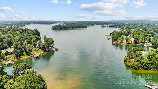 150 Pinnacle Shores Dr, Mooresville, NC 28117 - photo 47