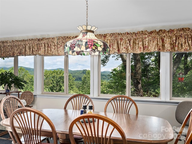 573 Valeria Ln, Pisgah Forest, NC 28768 - view of dining space