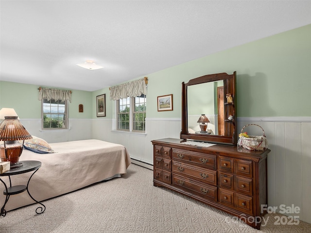 573 Valeria Ln, Pisgah Forest, NC 28768 - bedroom with a baseboard heating unit, a wainscoted wall, and light colored carpet