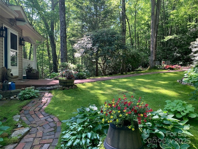573 Valeria Ln, Pisgah Forest, NC 28768 - view of green lawn