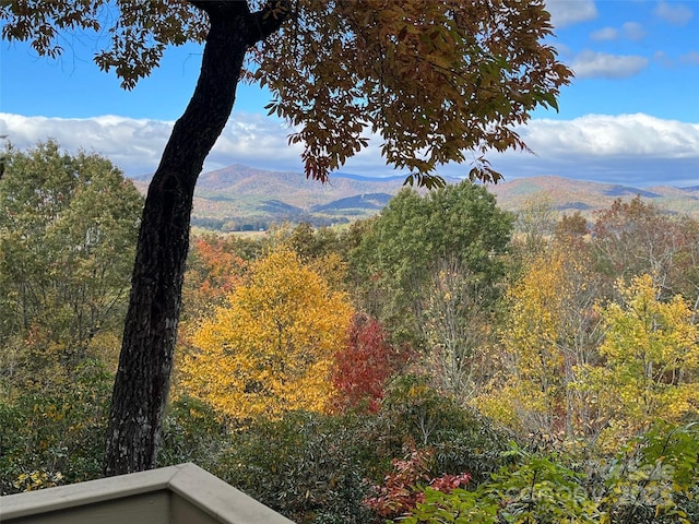 573 Valeria Ln, Pisgah Forest, NC 28768 - mountain view with a heavily wooded area