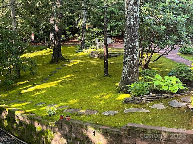 573 Valeria Ln, Pisgah Forest, NC 28768 - view of yard