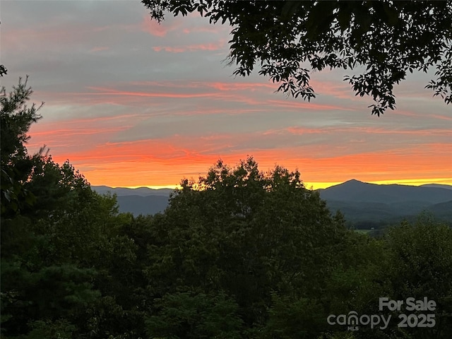 573 Valeria Ln, Pisgah Forest, NC 28768 - view of mountain backdrop