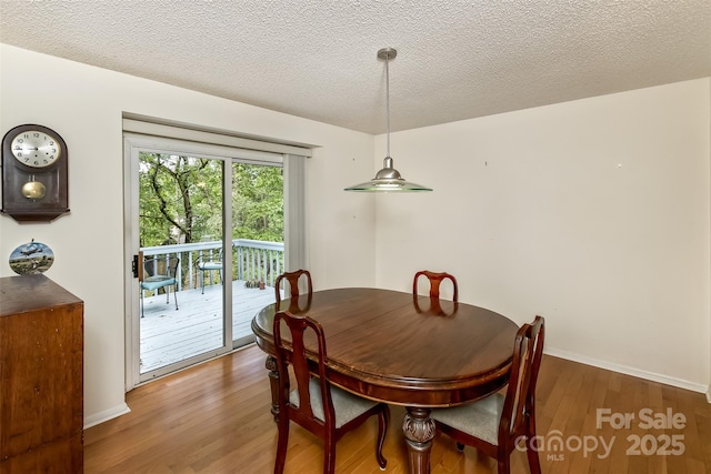 100 Black Oak Dr, Asheville, NC 28804 - photo 10