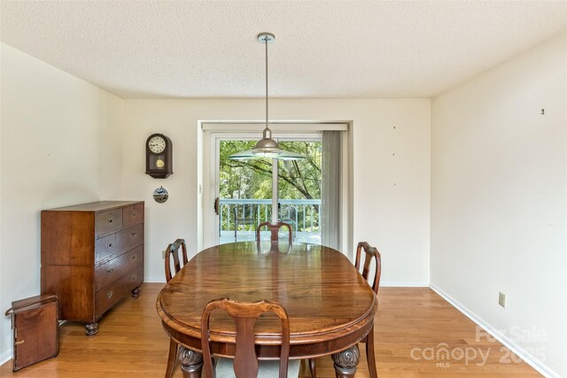 100 Black Oak Dr, Asheville, NC 28804 - photo 12