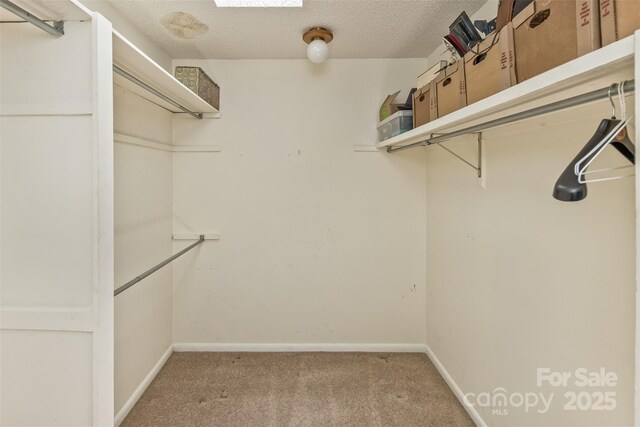 100 Black Oak Dr, Asheville, NC 28804 - photo 22