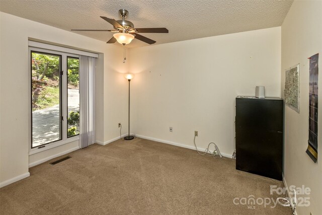 100 Black Oak Dr, Asheville, NC 28804 - photo 30