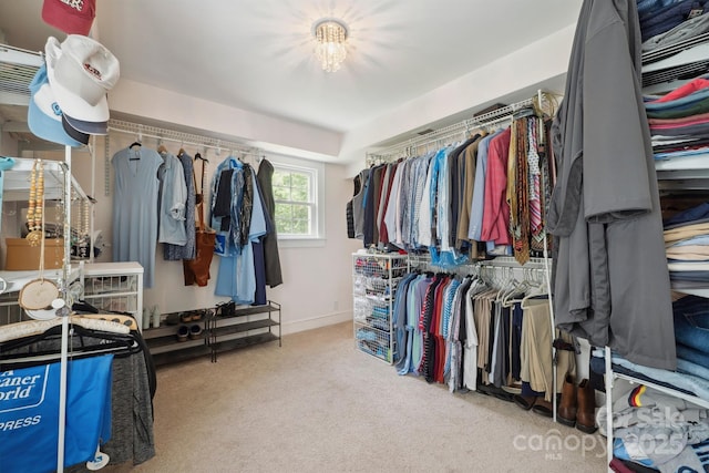 81 21st Ave NW, Hickory, NC 28601 - spacious closet with carpet floors