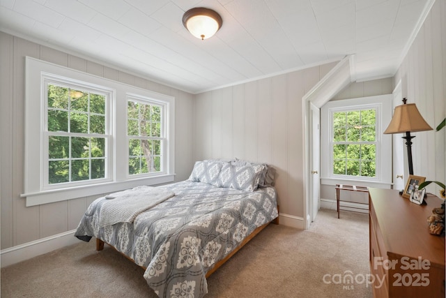 81 21st Ave NW, Hickory, NC 28601 - carpeted bedroom featuring multiple windows, ornamental molding, and baseboards