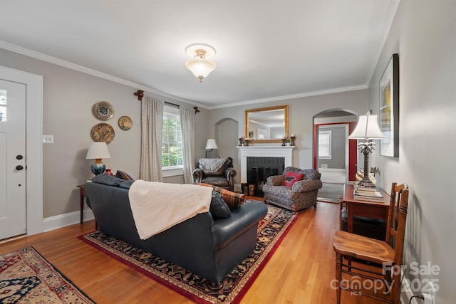 81 21st Ave NW, Hickory, NC 28601 - living area featuring arched walkways, ornamental molding, wood finished floors, a fireplace, and baseboards