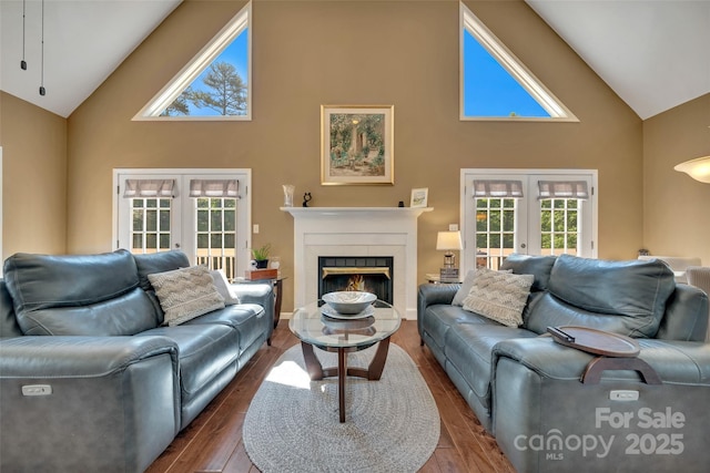 186 Hawks Point Dr, Zirconia, NC 28790 - living area featuring french doors, high vaulted ceiling, a warm lit fireplace, and dark wood-style floors