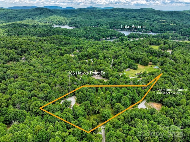 186 Hawks Point Dr, Zirconia, NC 28790 - aerial view of property's location featuring a water and mountain view, a heavily wooded area, and property boundaries highlighted