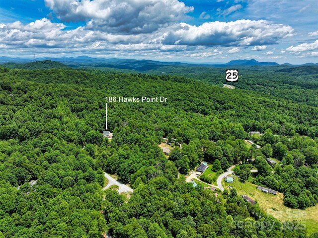 186 Hawks Point Dr, Zirconia, NC 28790 - aerial view of a forest and mountains
