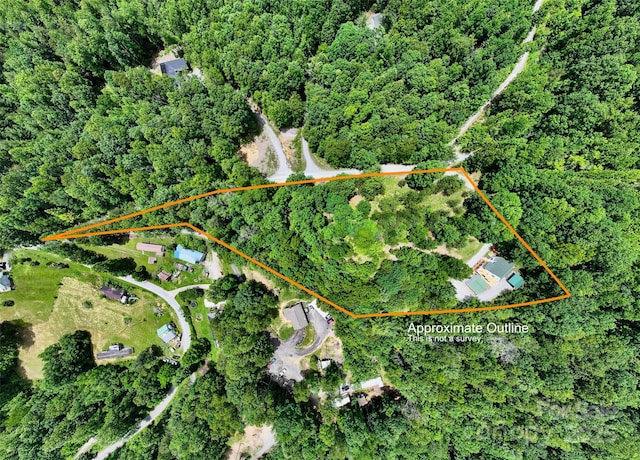 186 Hawks Point Dr, Zirconia, NC 28790 - aerial view of property's location with property boundaries highlighted and a heavily wooded area