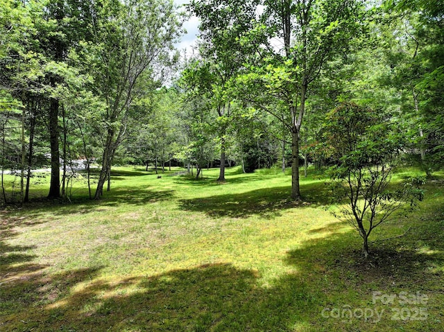 186 Hawks Point Dr, Zirconia, NC 28790 - view of green lawn