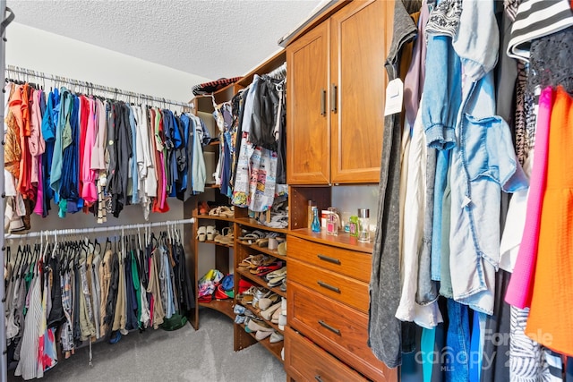 106 Laren Rd, Shelby, NC 28152 - spacious closet with carpet flooring