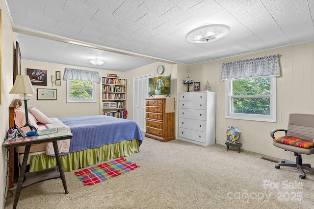 603 S Orchard Rd, Flat Rock, NC 28731 - carpeted bedroom with a closet