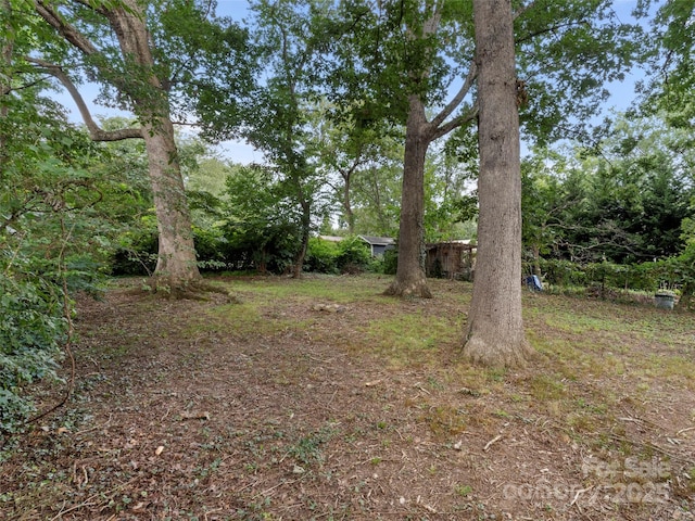 99 Nevada Ave, Asheville, NC 28806 - photo 19