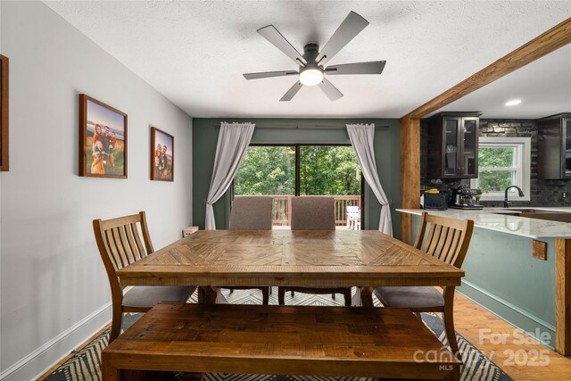 347 Park Knoll Dr, Horse Shoe, NC 28742 - photo 11