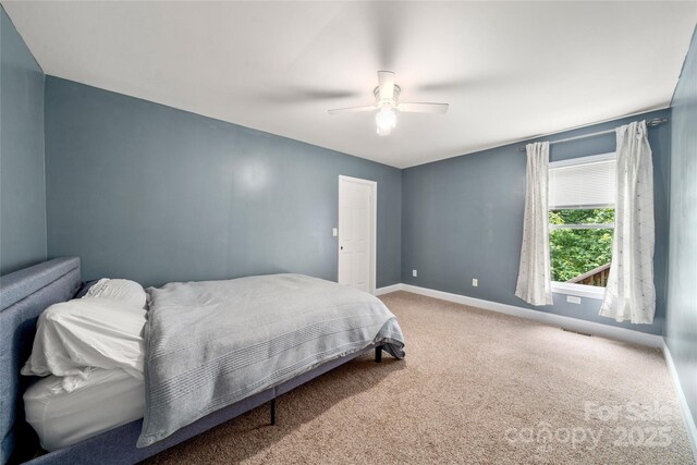 347 Park Knoll Dr, Horse Shoe, NC 28742 - photo 25