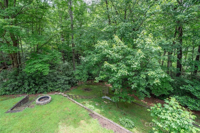 347 Park Knoll Dr, Horse Shoe, NC 28742 - photo 29
