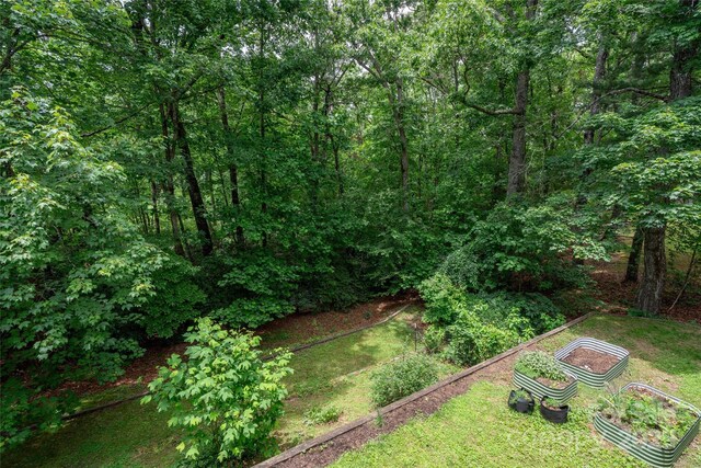 347 Park Knoll Dr, Horse Shoe, NC 28742 - photo 30