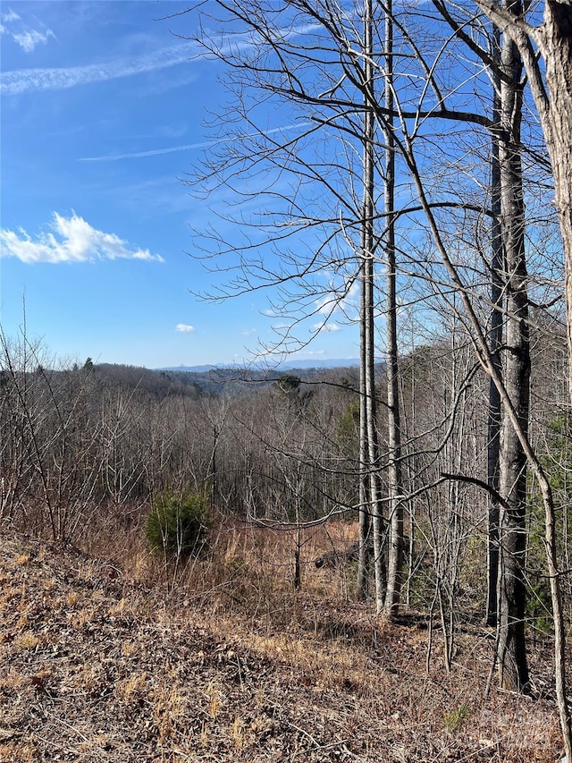 LOT130 Terra Vista Dr, Lenoir, NC 28645