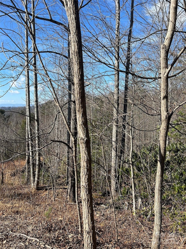 LOT130 Terra Vista Dr, Lenoir, NC 28645