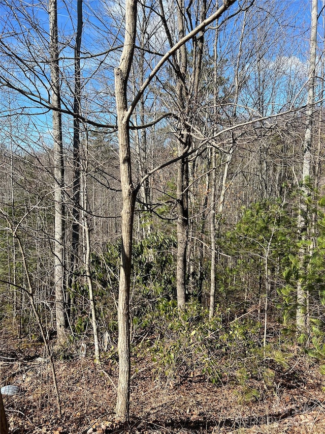 LOT130 Terra Vista Dr, Lenoir, NC 28645
