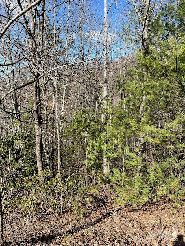 LOT130 Terra Vista Dr, Lenoir, NC 28645