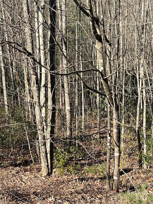 LOT130 Terra Vista Dr, Lenoir, NC 28645