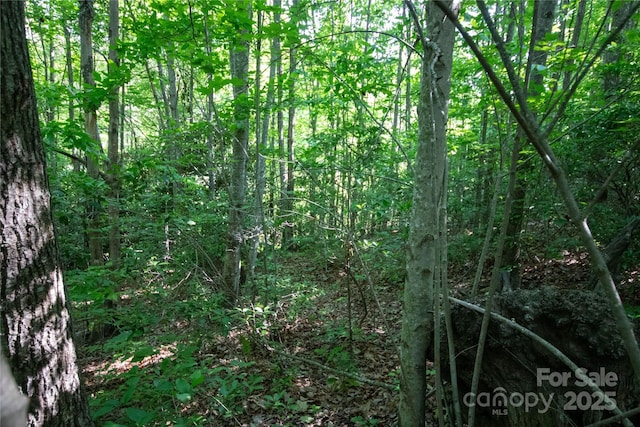 LOT130 Terra Vista Dr, Lenoir, NC 28645