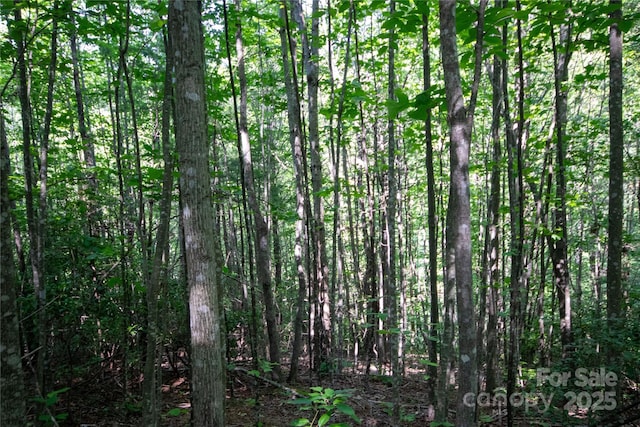 LOT130 Terra Vista Dr, Lenoir, NC 28645