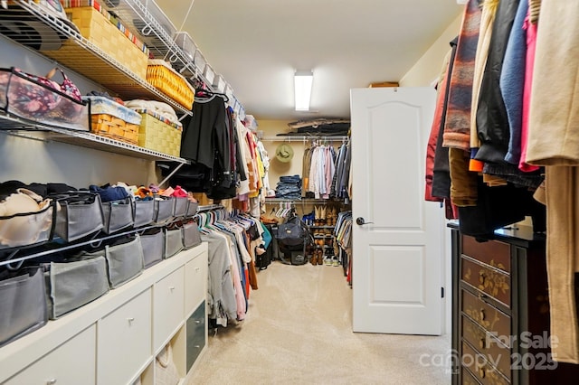 110 St Sophia Ct, Mooresville, NC 28117 - spacious closet with light carpet