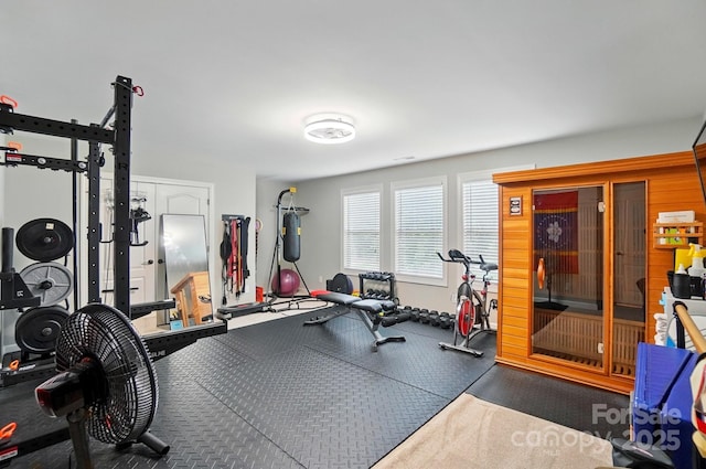 110 St Sophia Ct, Mooresville, NC 28117 - view of workout area