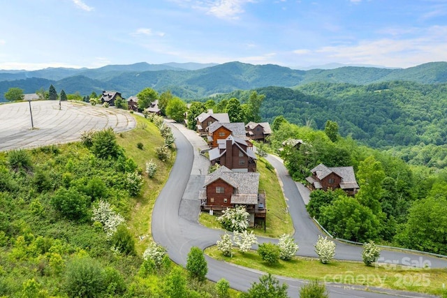 81 Scenic Wolf Dr, Mars Hill, NC 28754 - photo 43