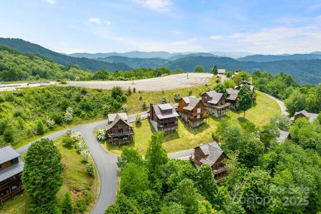 81 Scenic Wolf Dr, Mars Hill, NC 28754 - photo 3