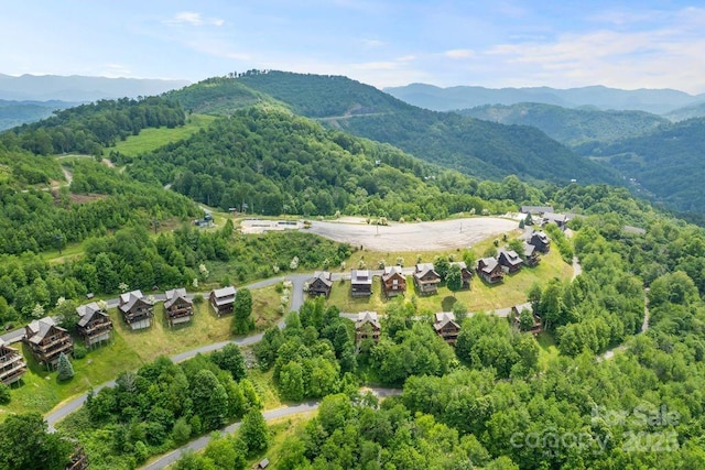 81 Scenic Wolf Dr, Mars Hill, NC 28754 - photo 4