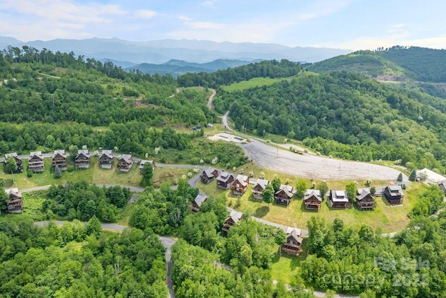 81 Scenic Wolf Dr, Mars Hill, NC 28754 - photo 21