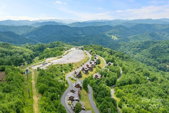81 Scenic Wolf Dr, Mars Hill, NC 28754 - photo 32