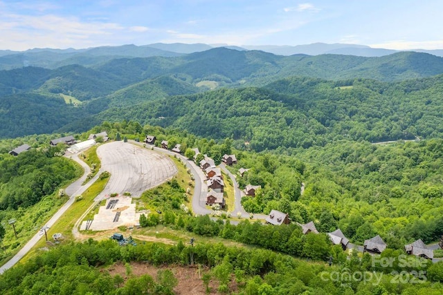81 Scenic Wolf Dr, Mars Hill, NC 28754 - photo 39