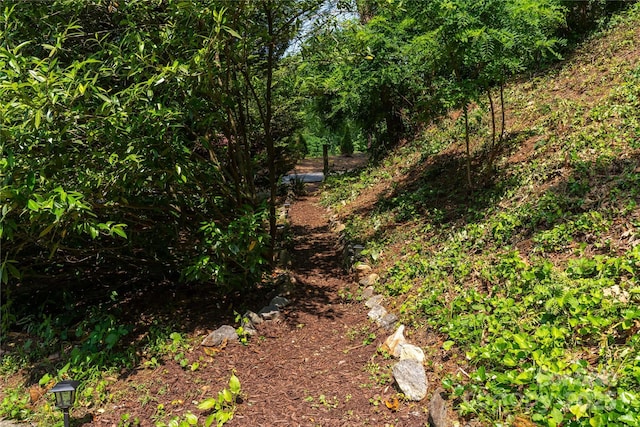1 Buck Acres Dr, Asheville, NC 28806 - photo 25