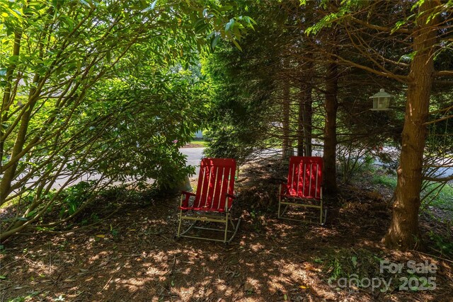 1 Buck Acres Dr, Asheville, NC 28806 - photo 26