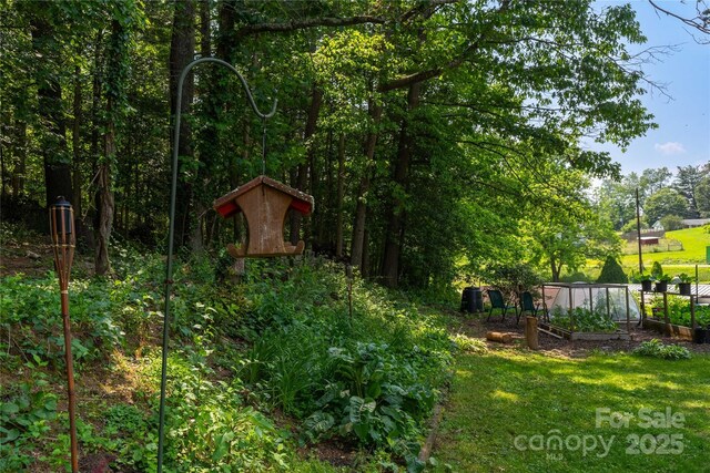 1 Buck Acres Dr, Asheville, NC 28806 - photo 28