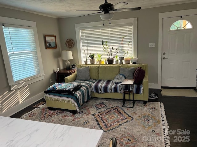 199 Crowell Dr SW, Concord, NC 28025 - living room with a ceiling fan, baseboards, healthy amount of natural light, crown molding, and wood finished floors