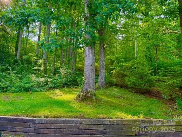 149 Poplar Dr W, Marion, NC 28752 - photo 12