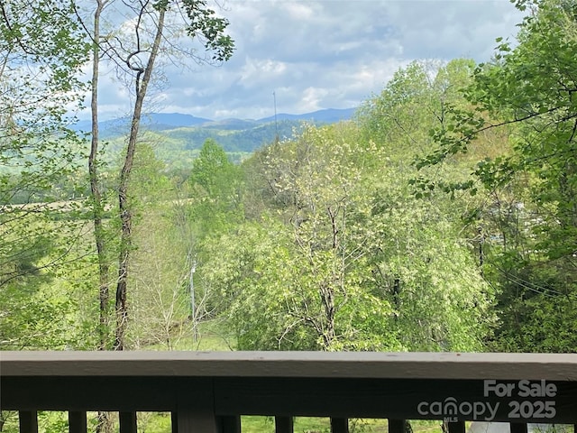 44 Falls Creek Rd, Pisgah Forest, NC 28768 - mountain view with a forest