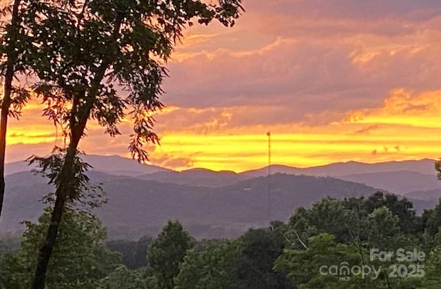44 Falls Creek Rd, Pisgah Forest, NC 28768 - mountain view